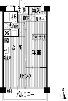 平面図