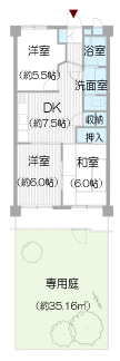 平面図